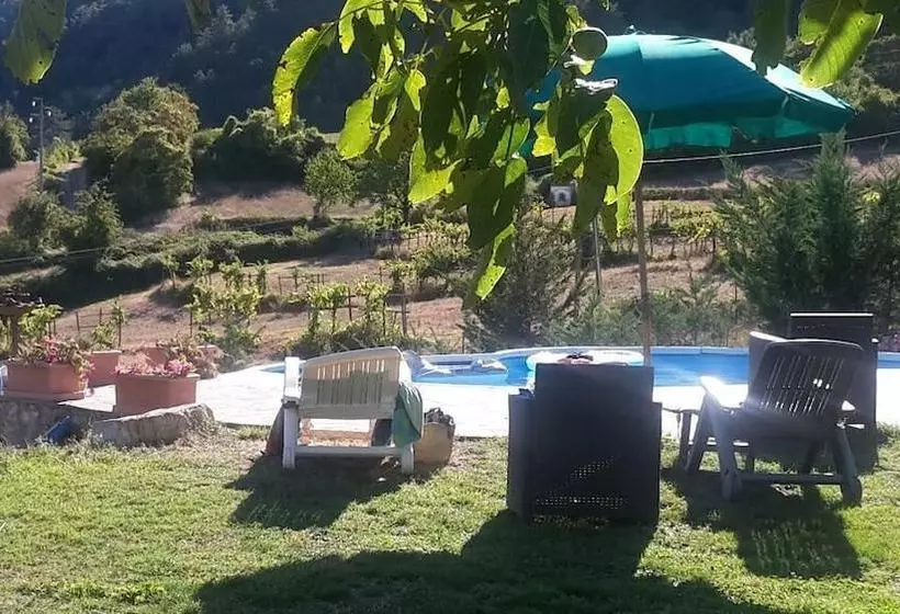 B&b Elisir