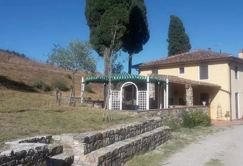 B&b Elisir