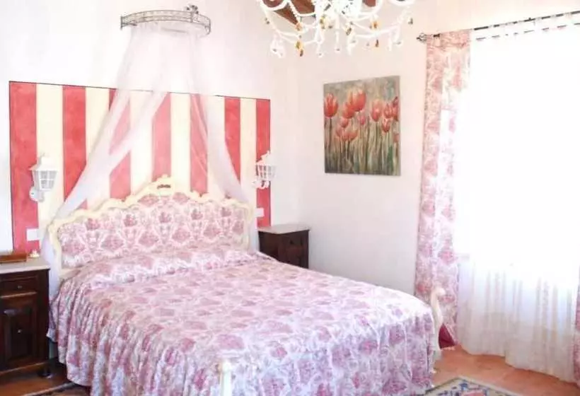 B&b Elisir