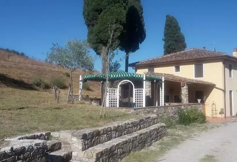 B&b Elisir