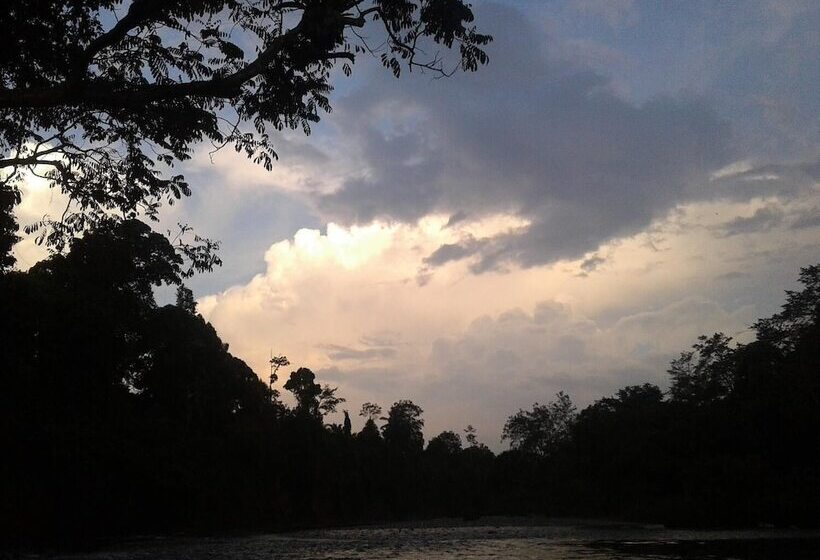 Bed and Breakfast Green Lodge Tangkahan