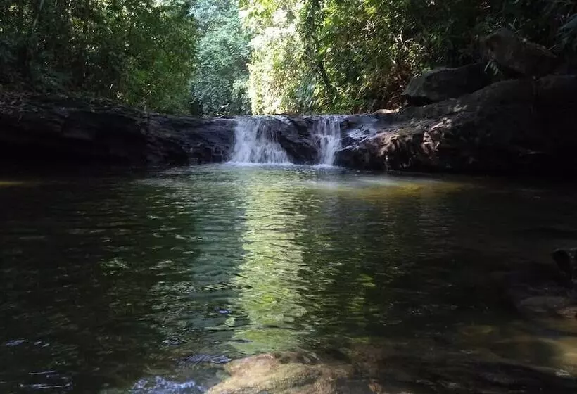 Aamiaismajoitus (B&B) Green Lodge Tangkahan