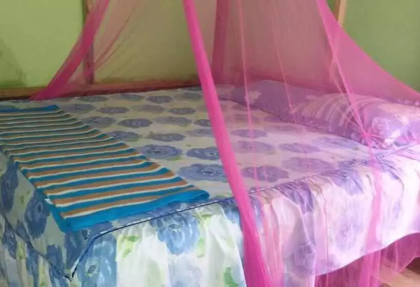 Aamiaismajoitus (B&B) Green Lodge Tangkahan