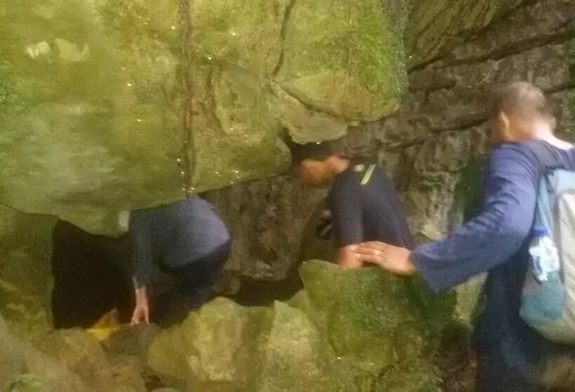 Aamiaismajoitus (B&B) Green Lodge Tangkahan