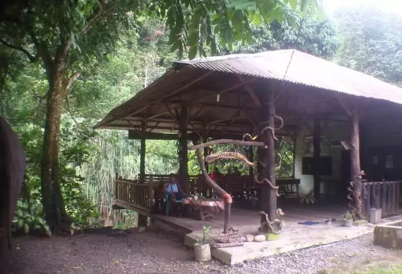 Aamiaismajoitus (B&B) Green Lodge Tangkahan