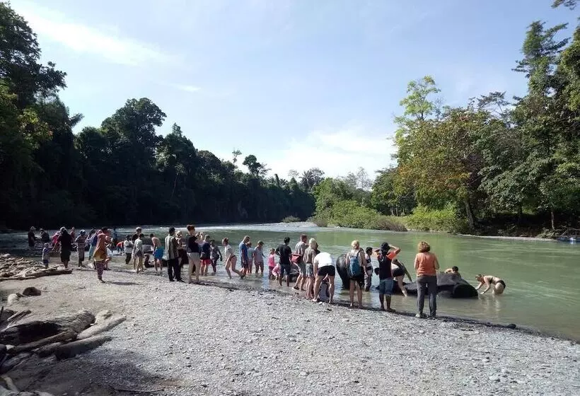 Aamiaismajoitus (B&B) Green Lodge Tangkahan