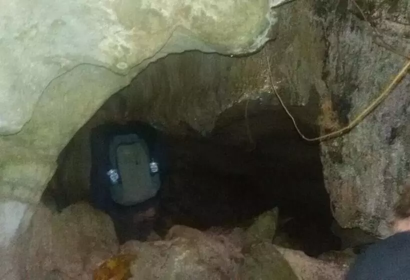 Aamiaismajoitus (B&B) Green Lodge Tangkahan