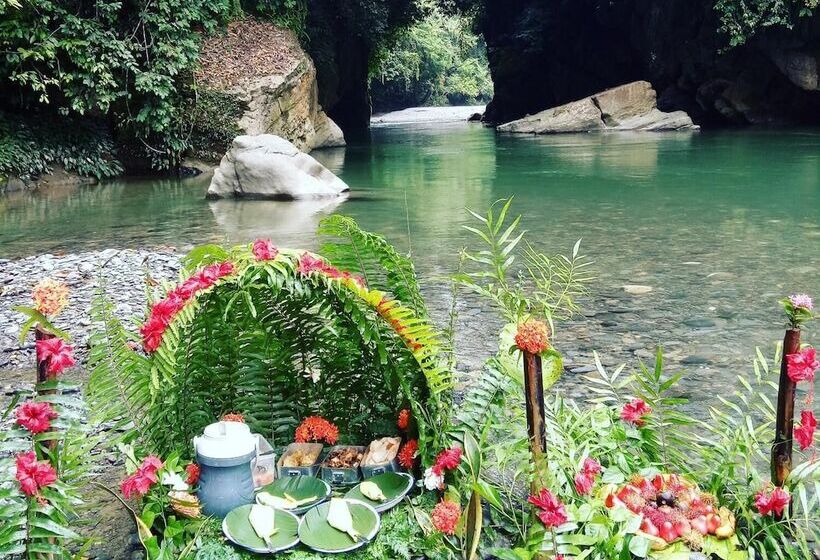 Bed and Breakfast Green Lodge Tangkahan