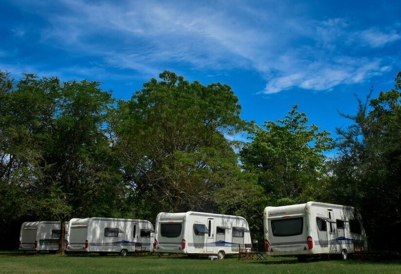 Hotel Big Game On Wheels   Wilpattu