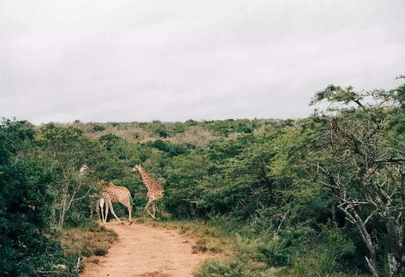 Hotelli Burlington Bush Cottages By The Oyster Collection