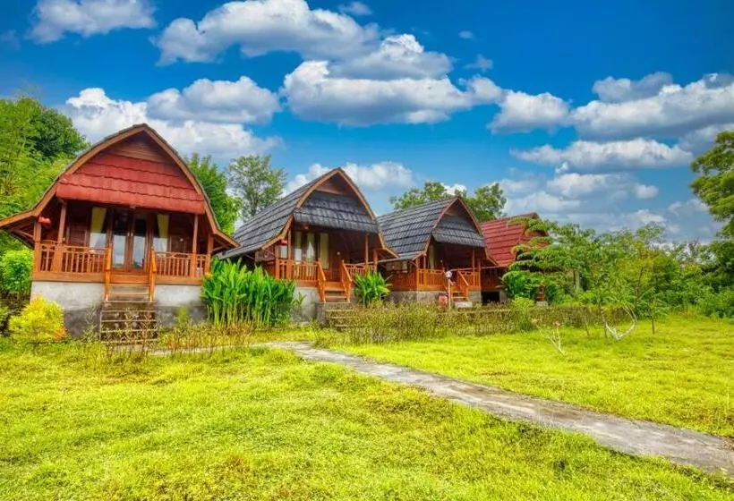 ホテル Dekara Cottages