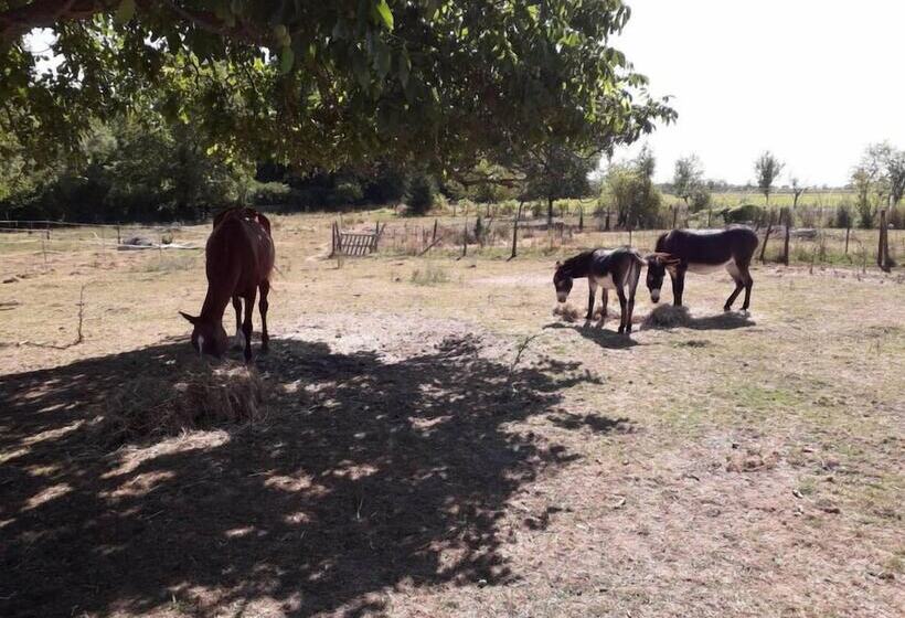 펜션 Perle De L Aube