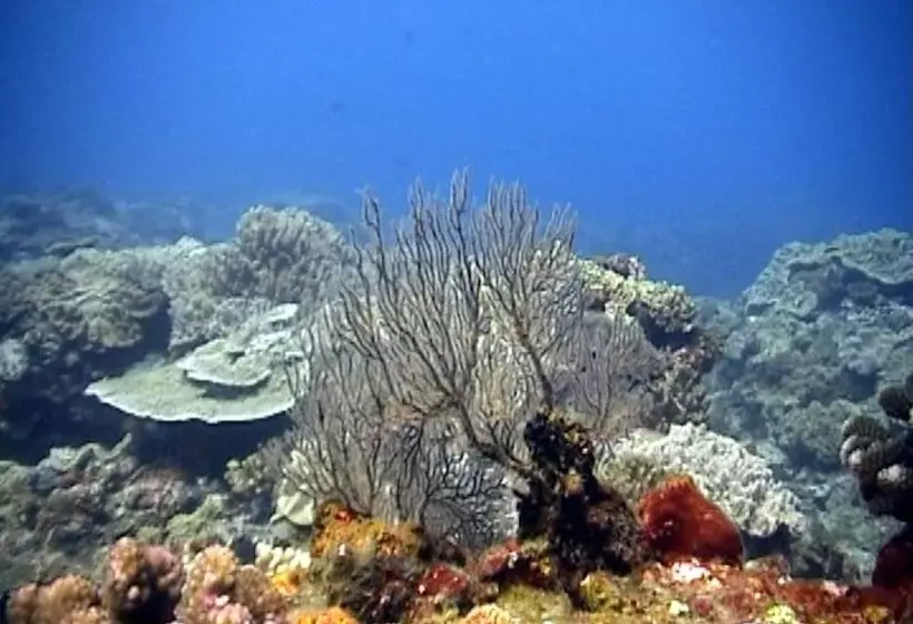 Hotelli Coral Divers