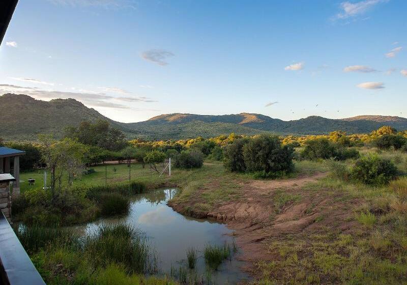 酒店 Shepherds Tree Game Reserve