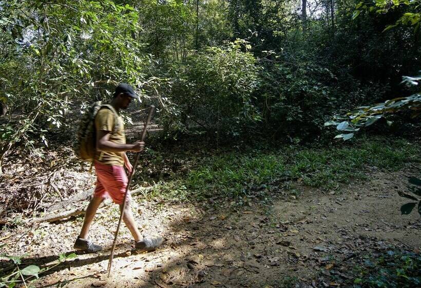 בית מלון כפרי Yuhibuhi Forest Resort