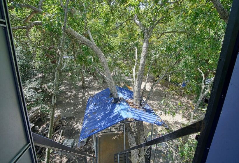 בית מלון כפרי Yuhibuhi Forest Resort