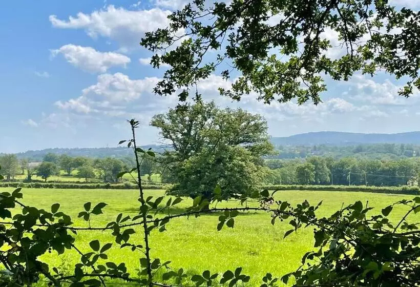 ベッドアンドブレックファースト Domaine Le Rianon