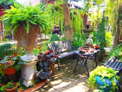 בית מלון כפרי Tahjeen Riverhome