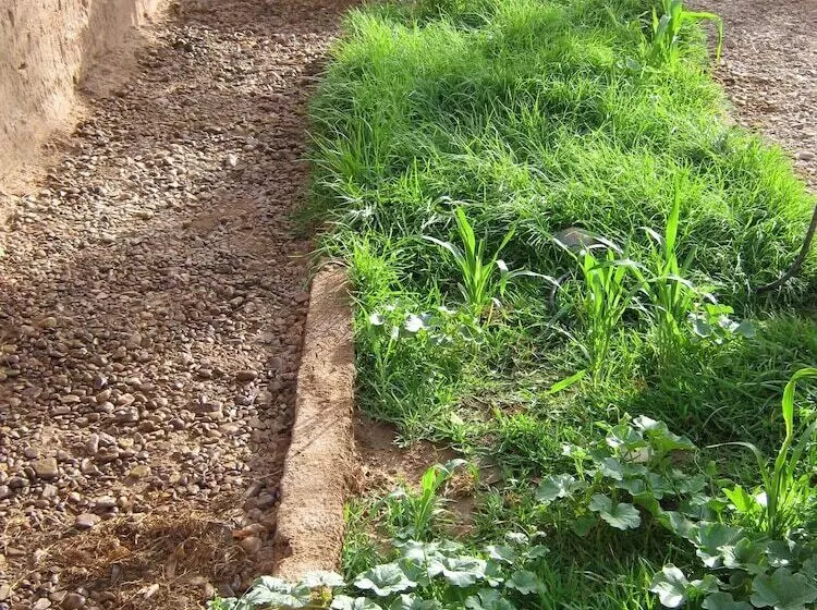 Majatalo Riad Tinfou