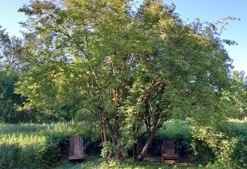 ベッドアンドブレックファースト Valreley, Chambres Et Table D Hôtes Eco Friendly Avec Bain Nordique Au Sud Du Massif Du Jura