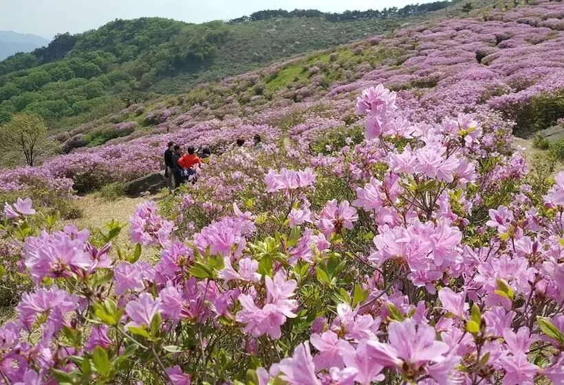 Hapcheonho View Smile Pension