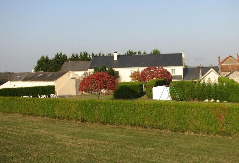 فندق Hôtel Le Grand Cerf