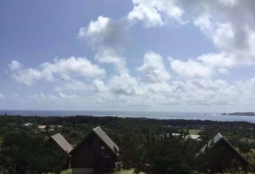 Matayoshi Coffee Farm