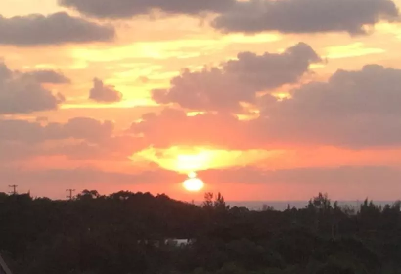 Matayoshi Coffee Farm