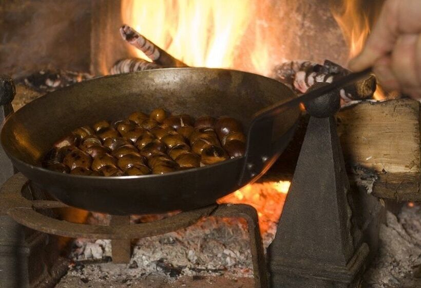 بنسيون Le Moulin Bregeon