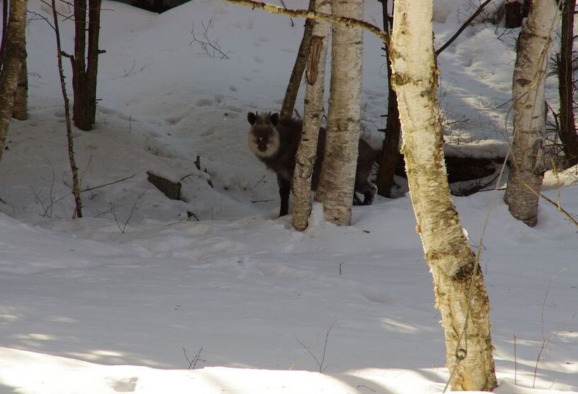 Пансион Resort Garni Coru