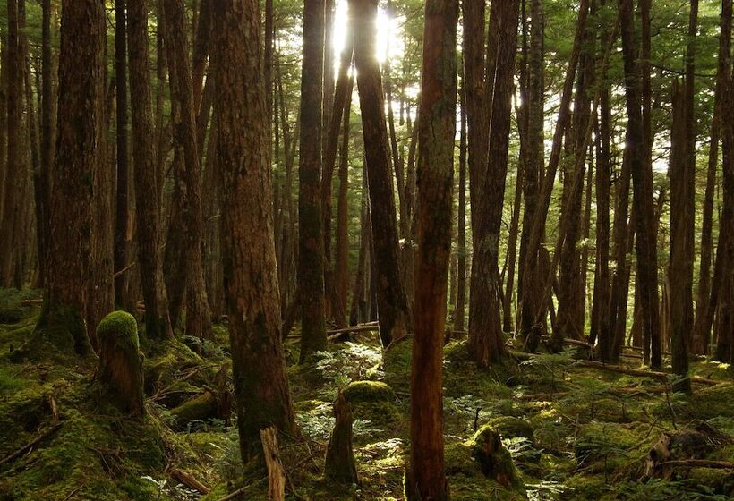 Пансион Resort Garni Coru