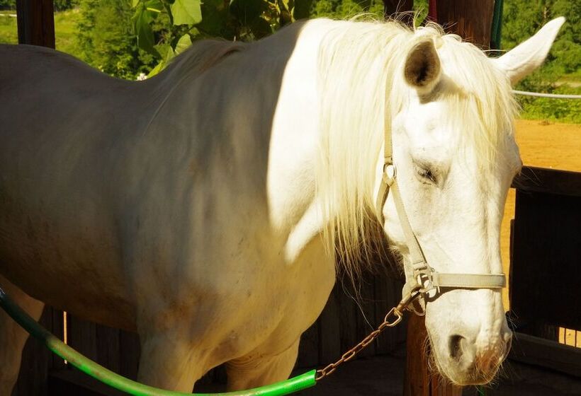 Пансион Resort Garni Coru