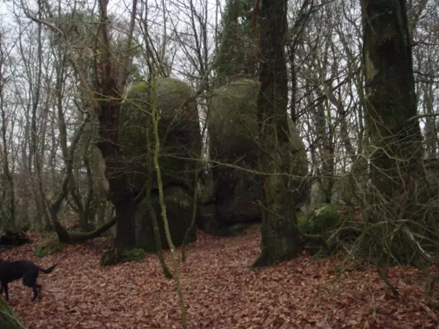 Aamiaismajoitus (B&B) Ty Gwennili