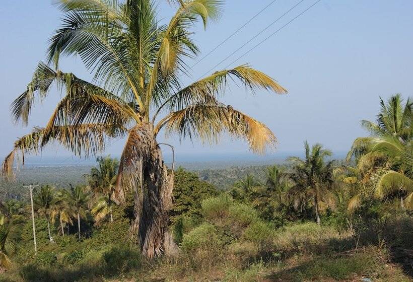 בית מלון כפרי Pura Vida Lodge