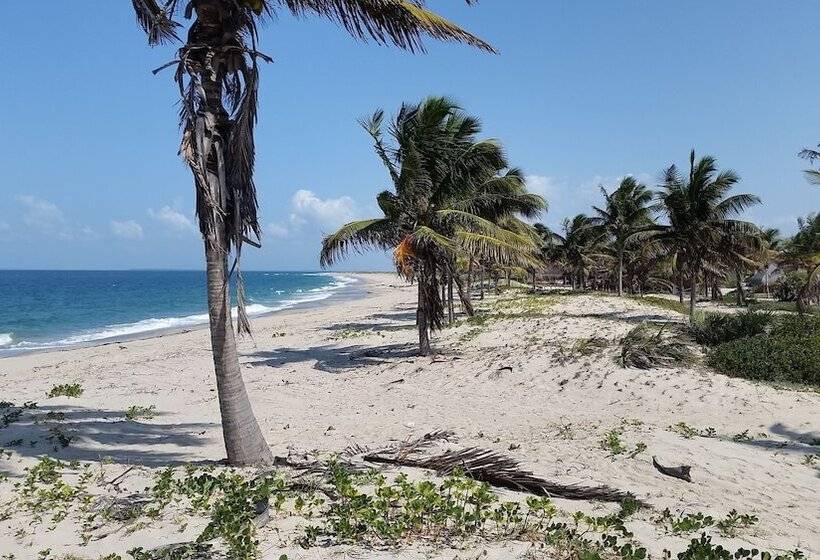 בית מלון כפרי Pura Vida Lodge