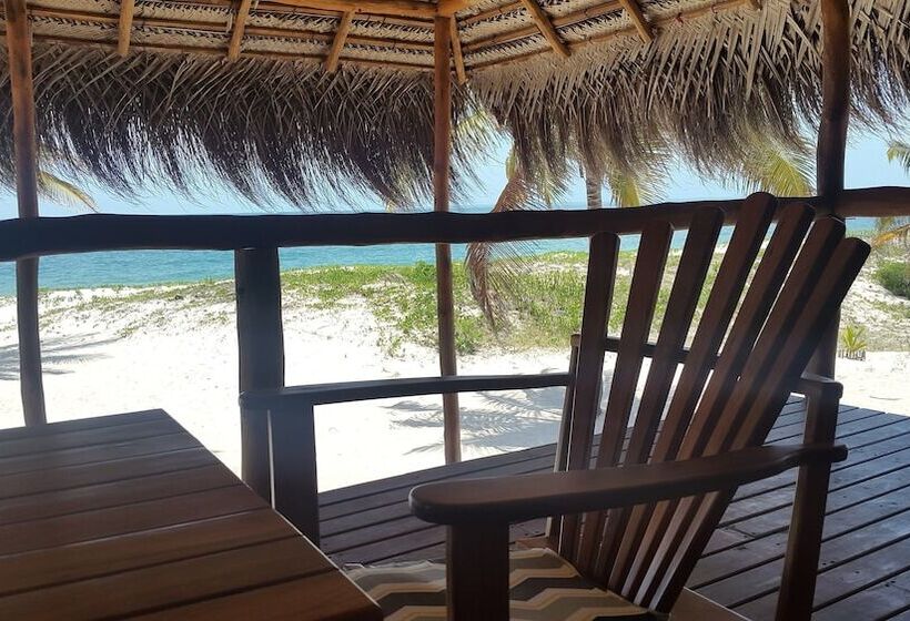 בית מלון כפרי Pura Vida Lodge