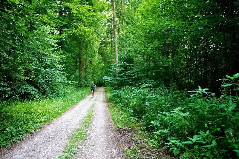 Hotelli Reinhardtshof Garni