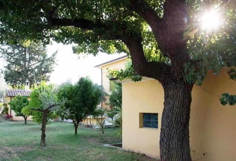 Maaseutuhotelli Agriturismo Il Casolare Di Nonno Mario