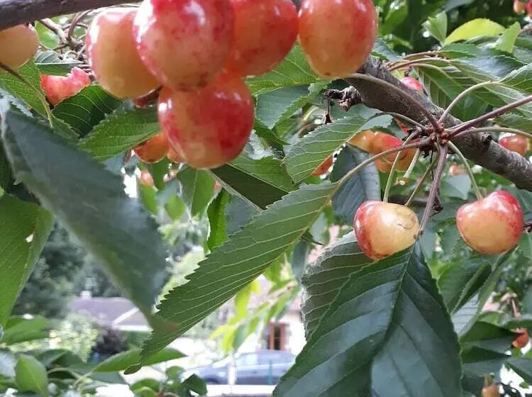 ペンション Chambres D'hôtes Le Clos Poli