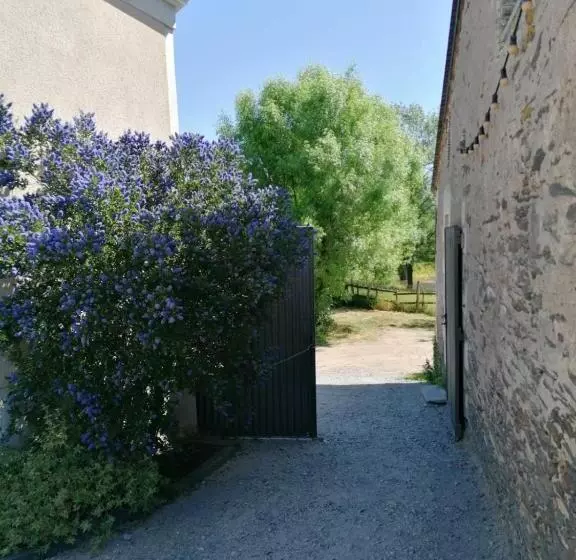 Majatalo La Petite Boire   Chambres D Hôtes Près D Angers