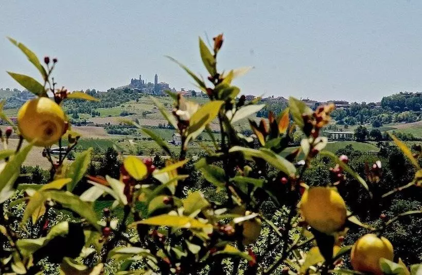 B&b Carletto