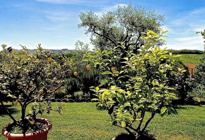 B&b Carletto