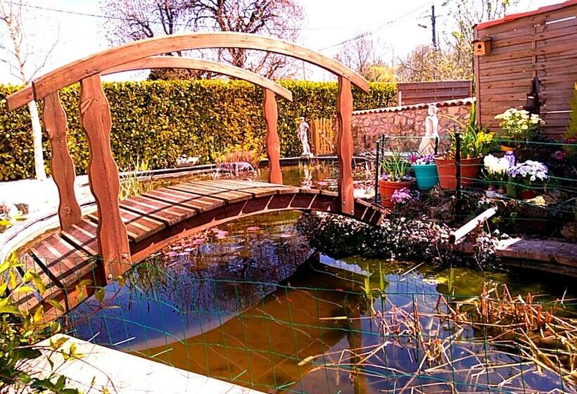 Bed and Breakfast Maison D'hôtes Le Cadran Solaire