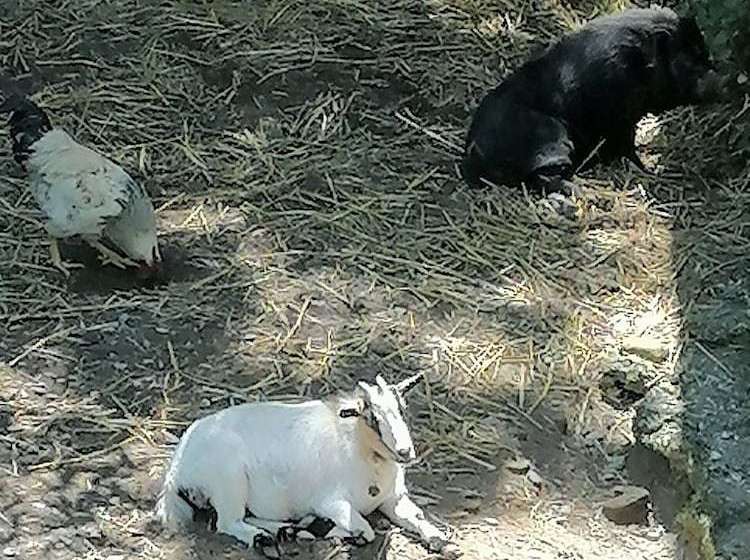 Gite De Lasbareilles