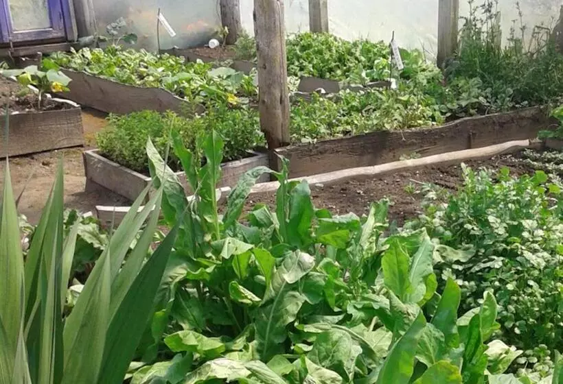 Hostelli Hosteria Ruca Kitai