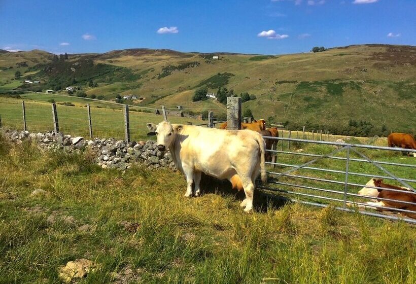 בית מלון כפרי Glen Lodges