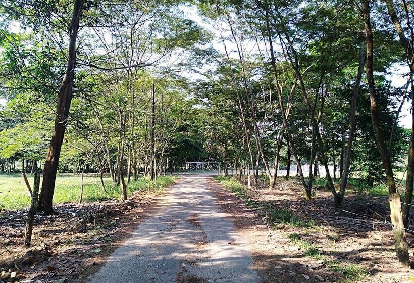 ホテル Tierralinda Finca Cottage