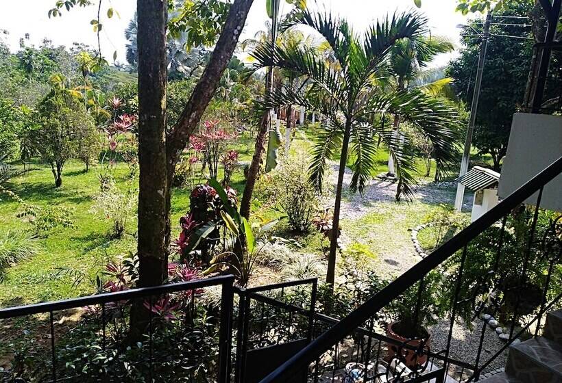 ホテル Tierralinda Finca Cottage