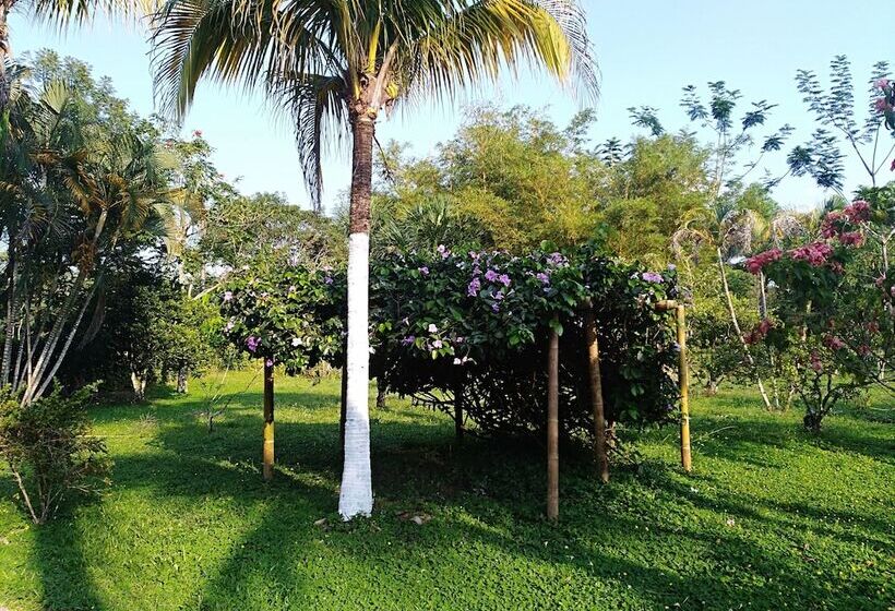 ホテル Tierralinda Finca Cottage