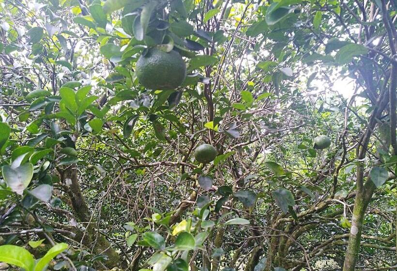 ホテル Tierralinda Finca Cottage